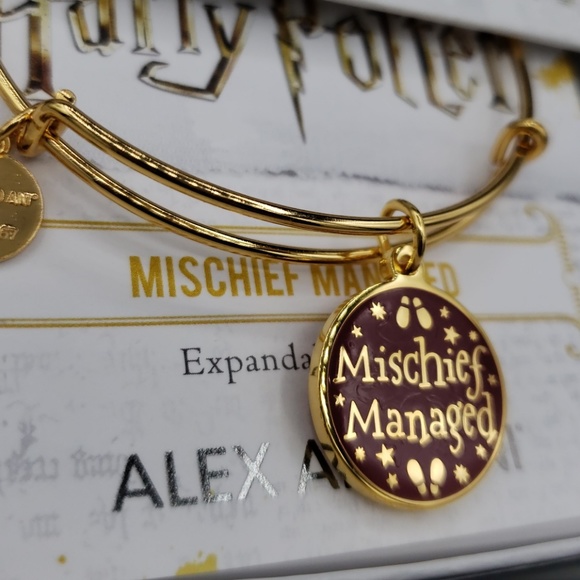 Alex and Ani Jewelry - NWT Alex and Ani Harry Potter Mischief Bangle